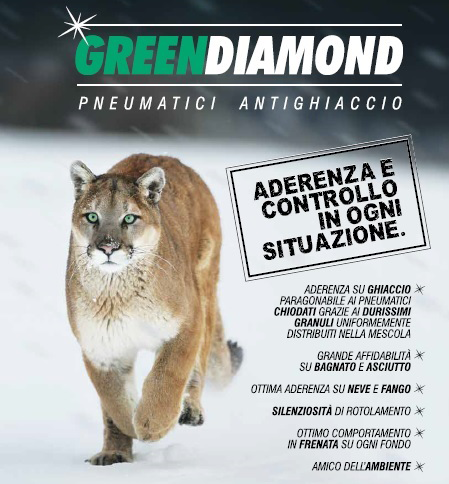 Green Diamond - Pneumatici antighiaccio